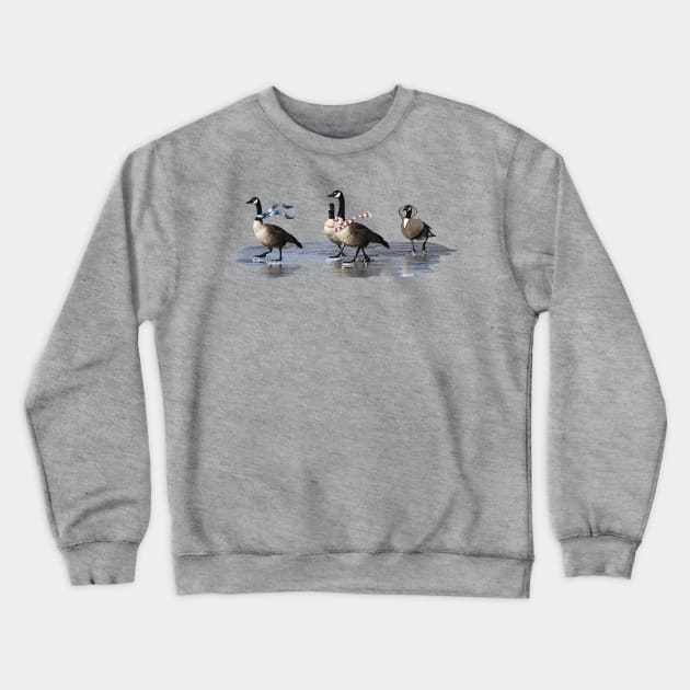 Cool Geese Crewneck Sweatshirt by bhymer